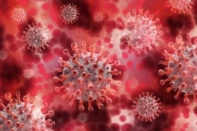 지방간 진단 기준과 간 기능 개선제 실리마린 밀크시슬의 효능 제대로 알아보기